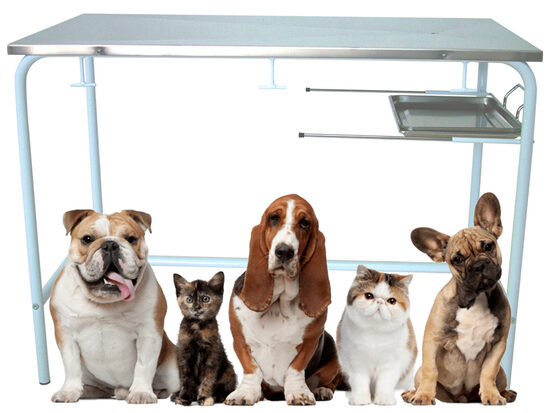 Veterinārais izmeklējumu, operāciju galds ar emaljētu tērauda cauruļu rāmi. Ražots Itālijā